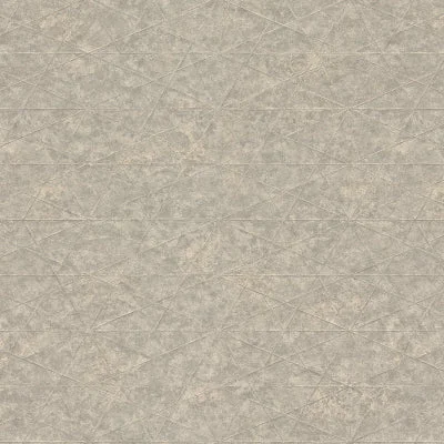 TANGO Wallpaper stone