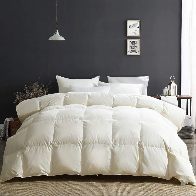 Heavyweight Feathers Down Comforter Oversized Queen, Feathers Down Duvet for Winter Climates, 750 FP Feathers Down Duvet Insert